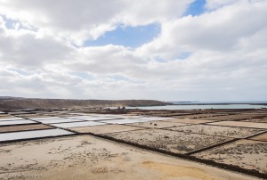 Flor de Sal aus den Salinas de Janubio / Lanzarote