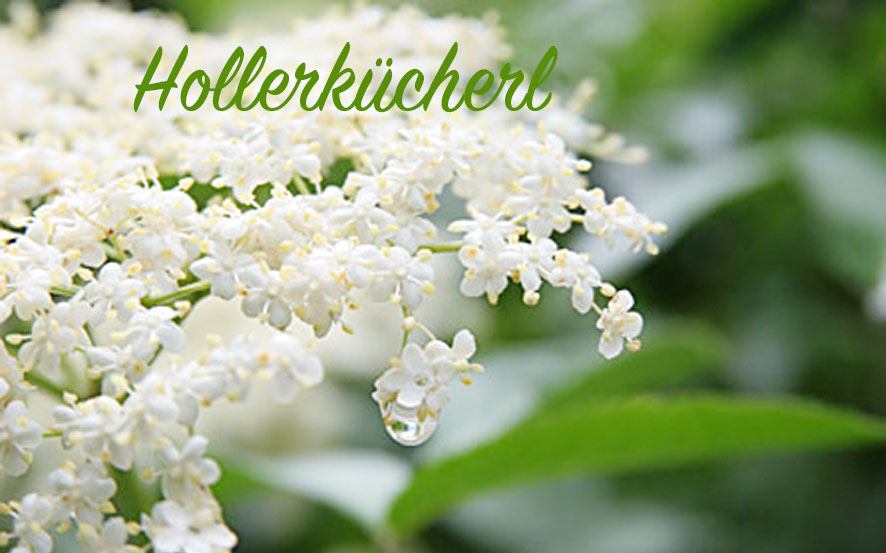 Hollerkücherl | Dinnerscout